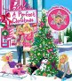 náhled Barbie a dokonalé Vánoce - DVD