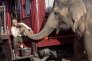 náhled Voda pre slony - Blu-ray