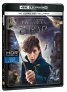 náhled Fantastické zvery a ich výskyt - 4K Ultra HD Blu-ray + Blu-ray (2BD)