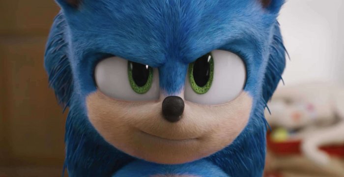 detail Ježko Sonic