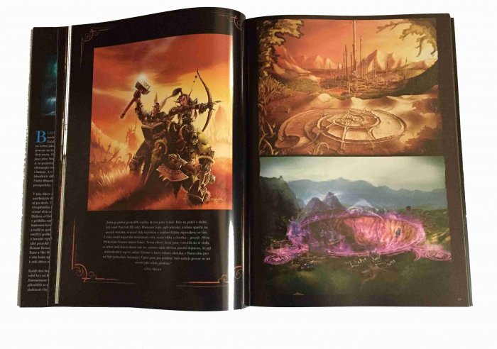 detail Světy a umění Blizzard Entertainment